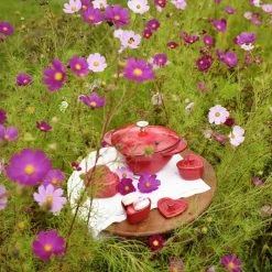 Staub 1.75 Qt. Heart Cocotte/Dutch Oven | Cherry Red 11 Staub 1.75 Qt. Heart Cocotte/Dutch Oven | Cherry Red -Cookware Sets Sales 2023 81snjyglvls. ac sl1280
